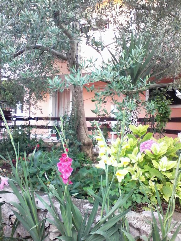 Apartments Vendi Šibenik Extérieur photo